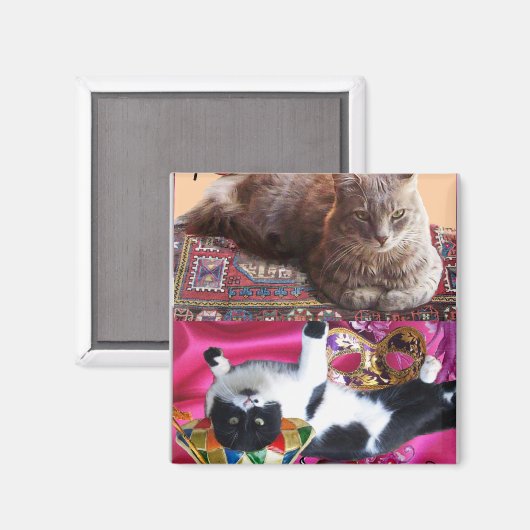 TURKSE KAT IN TRANSCENDENTALE BEMIDDELING MAGNEET (Voorkant / Achterkant)