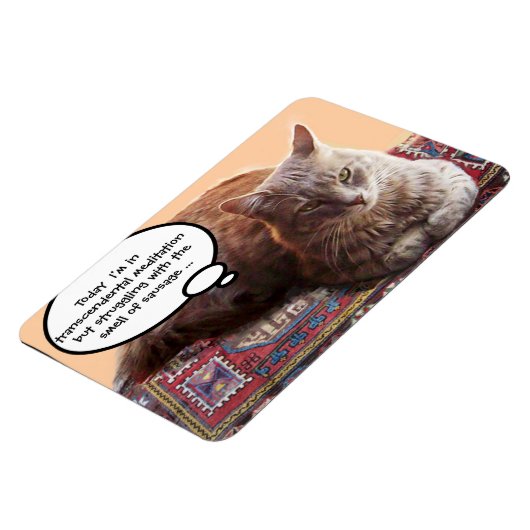 TURKSE KAT IN TRANSCENDENTALE BEMIDDELING MAGNEET (Linkerzijde)