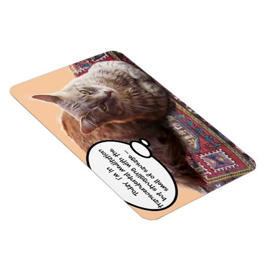 TURKSE KAT IN TRANSCENDENTALE BEMIDDELING MAGNEET (Rechterzijde)