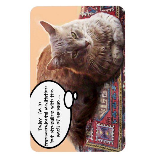 TURKSE KAT IN TRANSCENDENTALE BEMIDDELING MAGNEET (Verticaal)