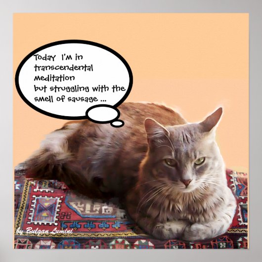 TURKSE KAT IN TRANSCENDENTALE BEMIDDELING POSTER (Voorkant)