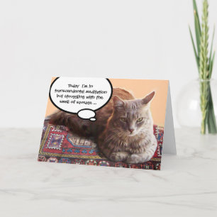 TURKSE KAT IN TRANSCENDENTALE MEDITATIE KAART