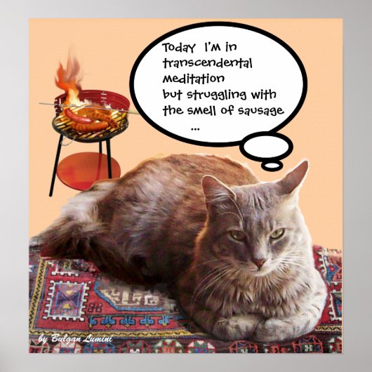 TURKSE KAT IN TRANSCENDENTALE MEDITATIE POSTER (Voorkant)