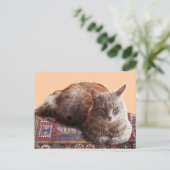 TURKSE KAT OP DE OUDE KARPET BRIEFKAART (Staand voorkant)