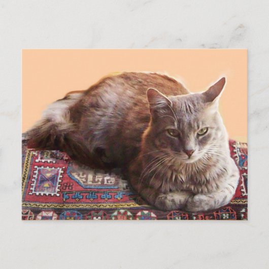 TURKSE KAT OP DE OUDE KARPET BRIEFKAART (Voorkant)