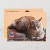 TURKSE KAT OP DE OUDE VLOERBEDDING BRIEFKAART (Voorkant / Achterkant)