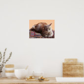 TURKSE KAT OP DE OUDE VLOERBEDDING POSTER (Keuken)