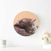 TURKSE KAT OP HET OUDE KARPJE GROTE KLOK (Huis)