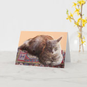 TURKSE KAT OP HET OUDE KARPJE KAART (Gele Bloem)