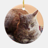 TURKSE KAT OP HET OUDE KARPJE KERAMISCH ORNAMENT (Achterkant)