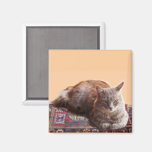 TURKSE KAT OP HET OUDE KARPJE MAGNEET (Voorkant / Achterkant)