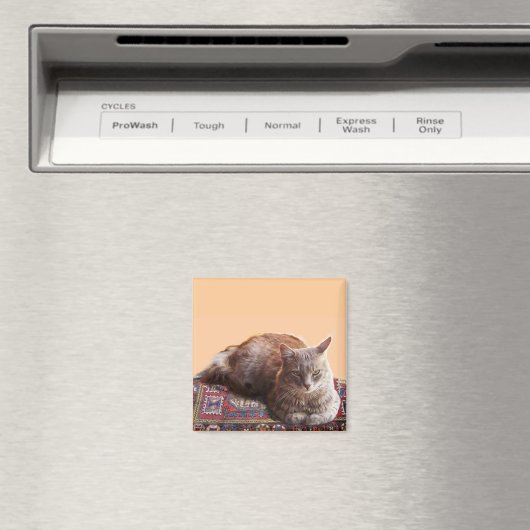 TURKSE KAT OP HET OUDE KARPJE MAGNEET (Insitu (Vaatwasser))