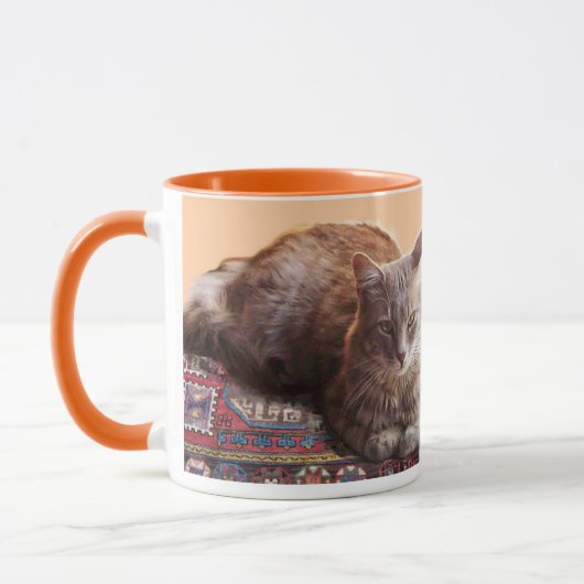 TURKSE KAT OP HET OUDE KARPJE MOK (Links)