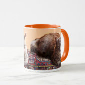 TURKSE KAT OP HET OUDE KARPJE MOK (Voorkant rechts)