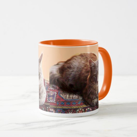 TURKSE KAT OP HET OUDE KARPJE MOK (Voorkant rechts)