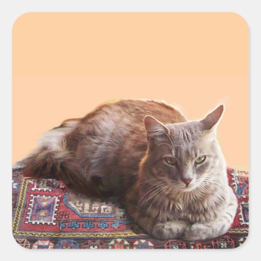 TURKSE KAT OP HET OUDE KARPJE VIERKANTE STICKER (Voorkant)