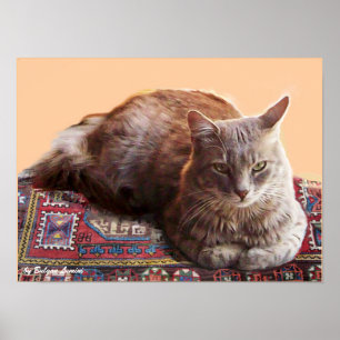 TURKSE KAT OP HET OUDE TAPijt Poster