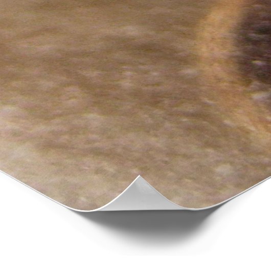 Turkse koffieposter poster (Hoek)