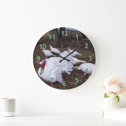 Turkse kudde grote klok (Huis)