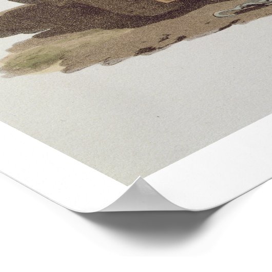 Turkse soldaat uit 'Costumes of the Dious Nat' Poster (Hoek)