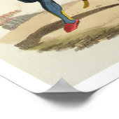 Turkse soldaat uit 'Costumes of the Various Nat' Poster (Hoek)