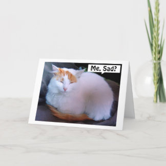 TURKSE VAN CAT IS ZO TRIEST = MIS ONS MET KERST FEESTDAGEN KAART