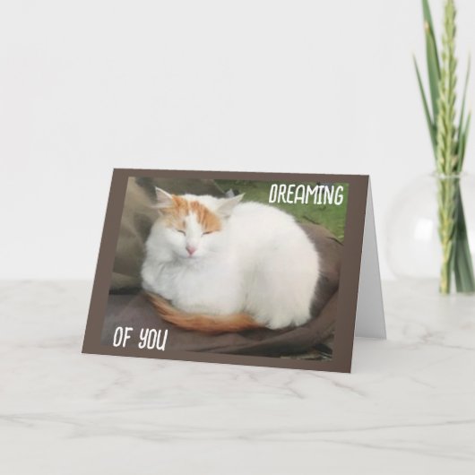 TURKSE VAN ZEGT "GEFELICITEERD MET JE AFSTUDERDAG" KAART (Voorkant)
