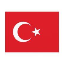 Turkse vlag