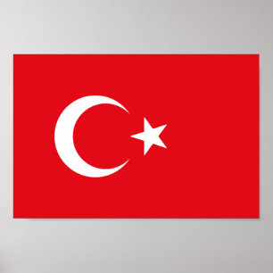 Turkse vlag poster