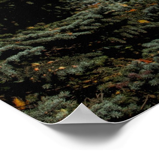 Turku, Finland, een oud Turun Linna Castle, een Poster (Hoek)