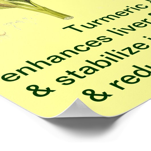 Turmeric Poster (Hoek)