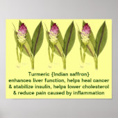 Turmeric Poster (Voorkant)