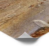 Turner - Melrose Poster (Hoek)