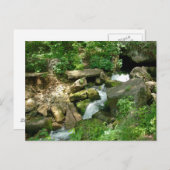 Turner Springs Briefkaart (Voorkant / Achterkant)