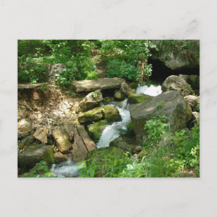 Turner Springs Briefkaart