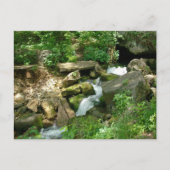 Turner Springs Briefkaart (Voorkant)