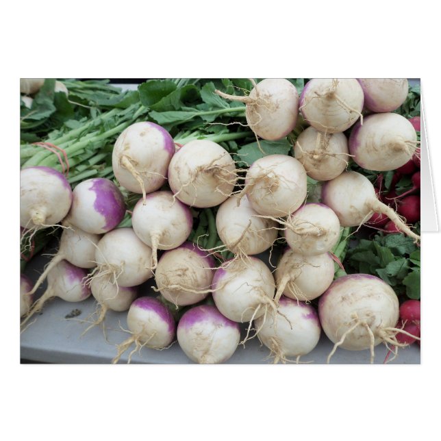 Turnip Pile (Voorkant Horizontaal)