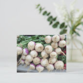 Turnip Pile Briefkaart (Staand voorkant)