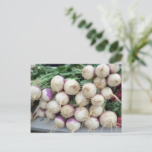 Turnip Pile Briefkaart (Staand voorkant)