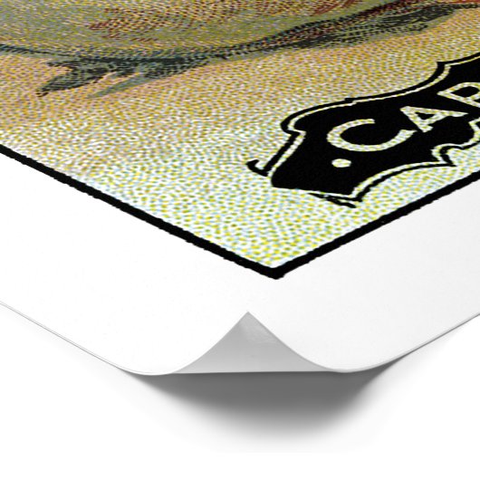 Turnip Seed Packet Label Poster (Hoek)