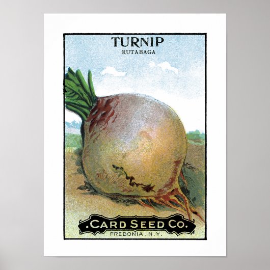 Turnip Seed Packet Label Poster (Voorkant)