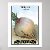 Turnip  zaadpakket poster (Voorkant)