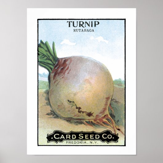 Turnip  zaadpakket poster (Voorkant)