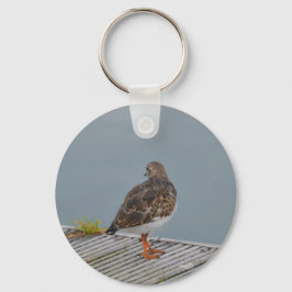Turnstone Sleutelhanger