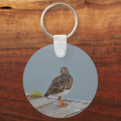 Turnstone Sleutelhanger (Voorkant)