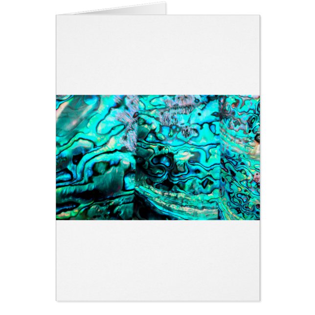 Turquoise abalone paua shell detail (Voorkant)