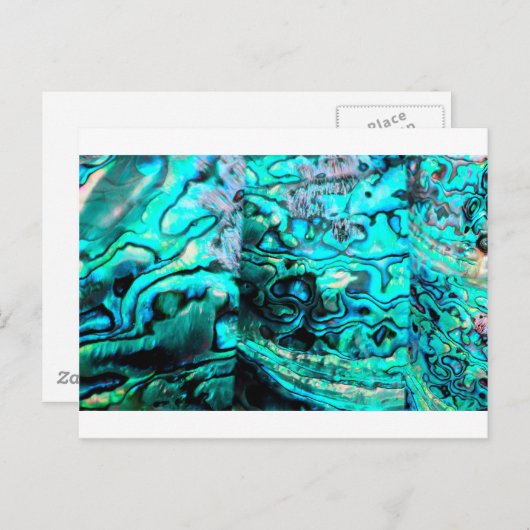 Turquoise abalone paua shell detail briefkaart (Voorkant / Achterkant)