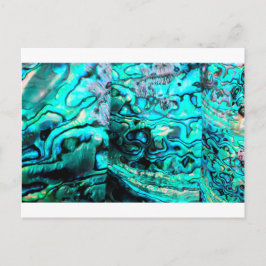 Turquoise abalone paua shell detail briefkaart