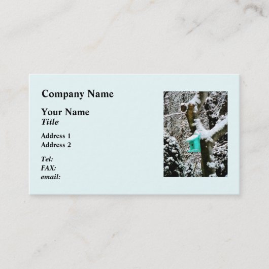 Turquoise Birdhouse in Winter Visitekaartje (Voorkant)