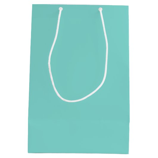 TURQUOISE BLAUW  MEDIUM CADEAUZAKJE (Achterkant)